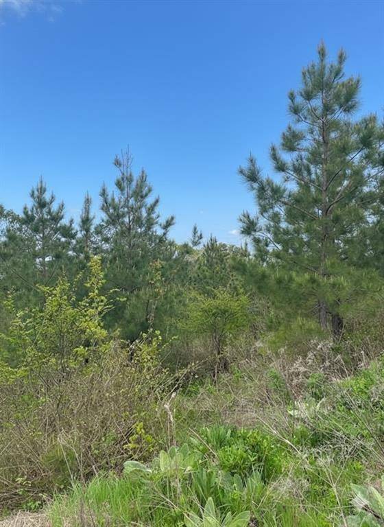 187 Sliding Hill TRL, Broken Bow, OK 74728
