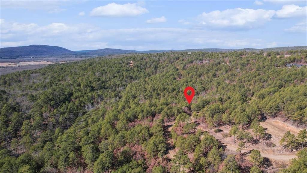 96 Saddlegap Ranch West RD, Tuskahoma, OK 74574