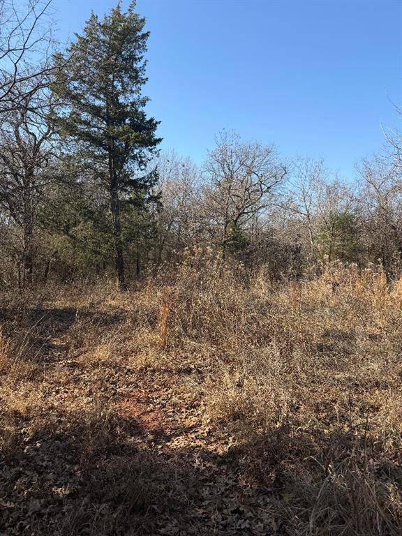 183rd ST, Lexington, OK 73051