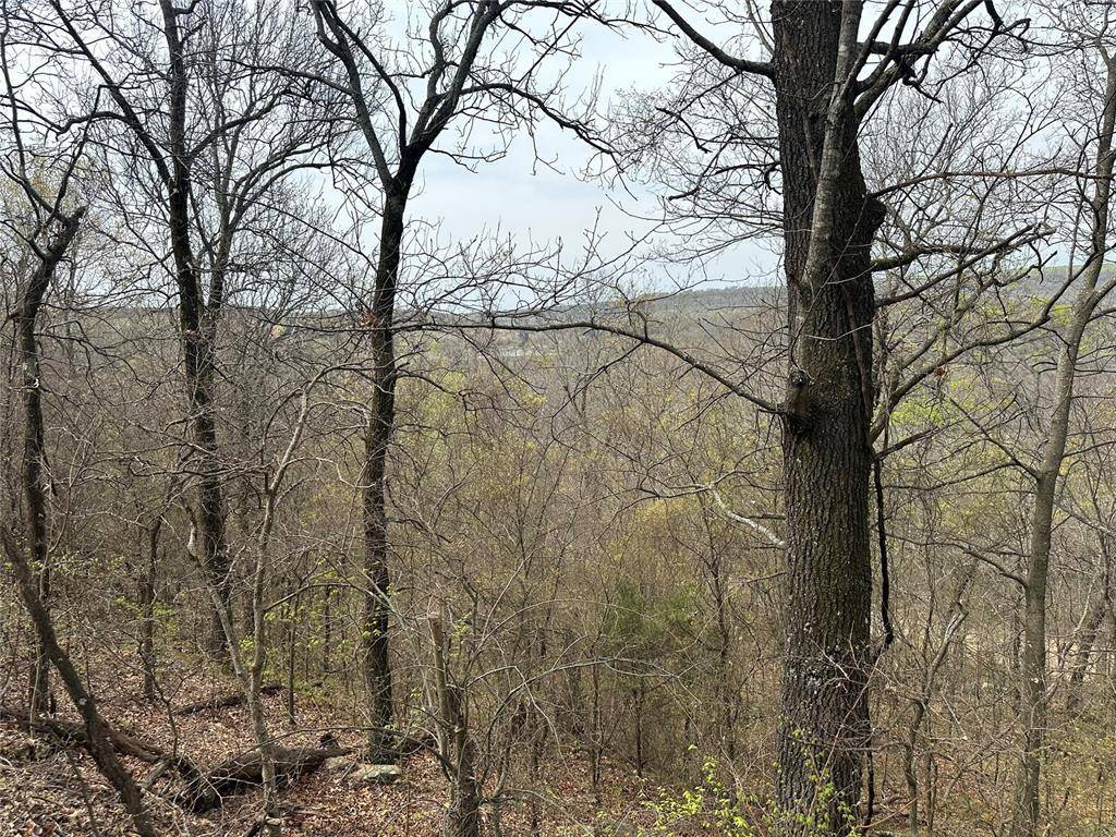 000 W Big Rock RD #Lot #7, Park Hill, OK 74451