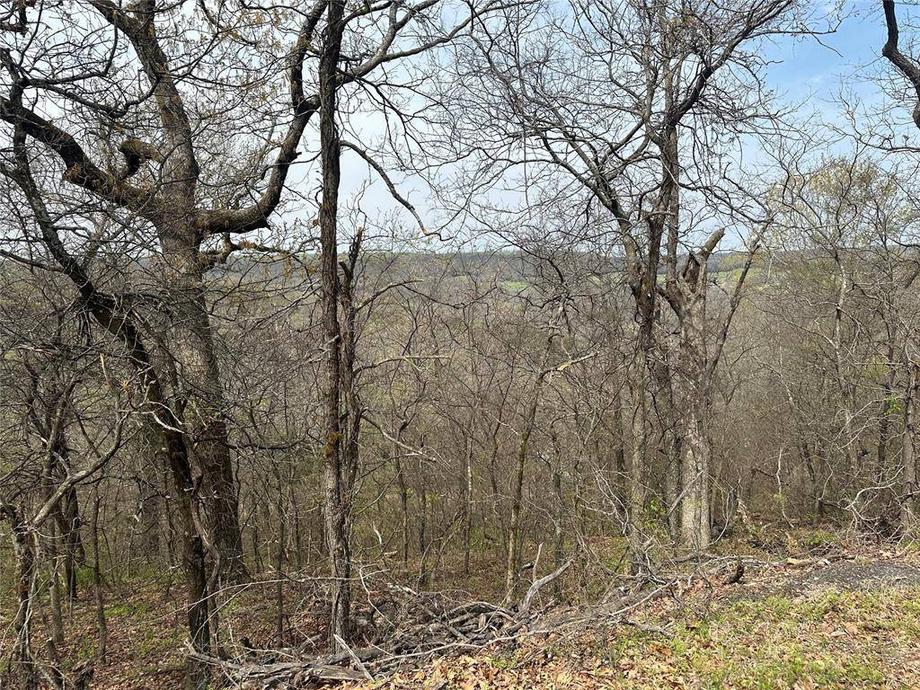 000 W Big Rock RD #Lot #7, Park Hill, OK 74451