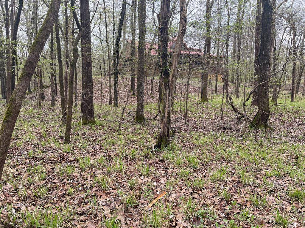 177 Albacore Road RD, Hochatown, OK 74728