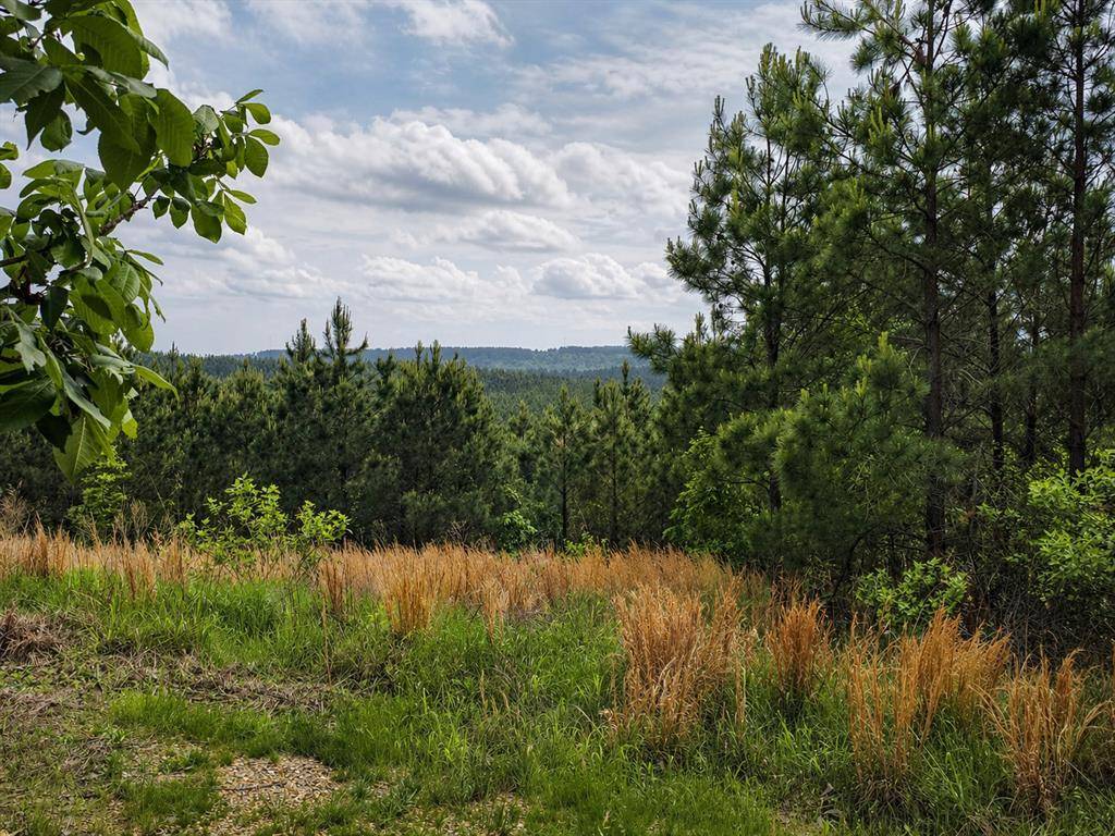 158 Legacy Ridge TRL, Broken Bow, OK 74728