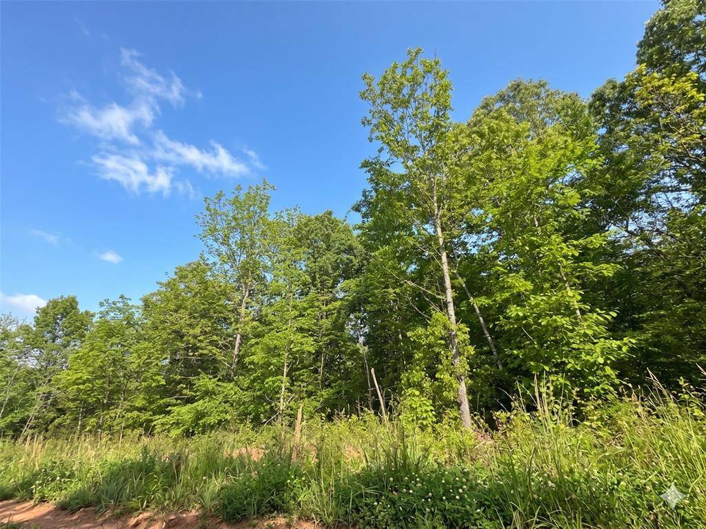 14 Vista Ridge TRL, Watson, OK 74957