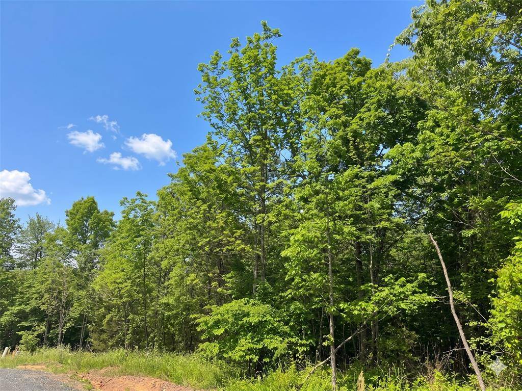 18 Vista Ridge TRL, Watson, OK 74957
