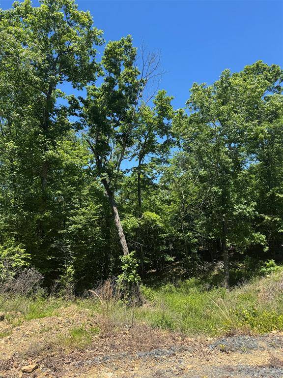 20 Vista Ridge TRL, Watson, OK 74728