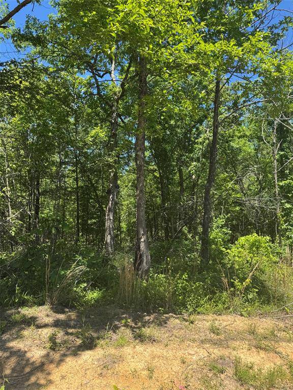 21 Vista Ridge TRL, Watson, OK 74957