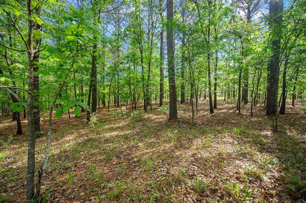 640 NE Three Creeks RD #lot 40, Broken Bow, OK 74728