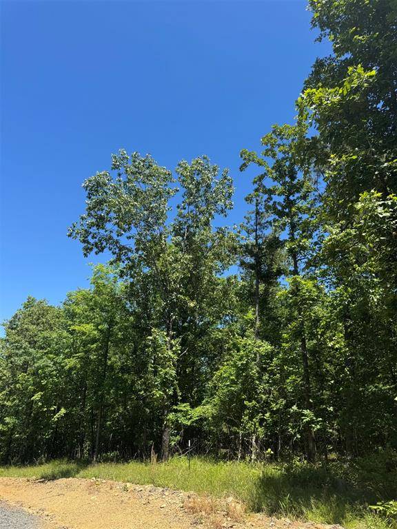 33 Starry Night CT, Watson, OK 74957