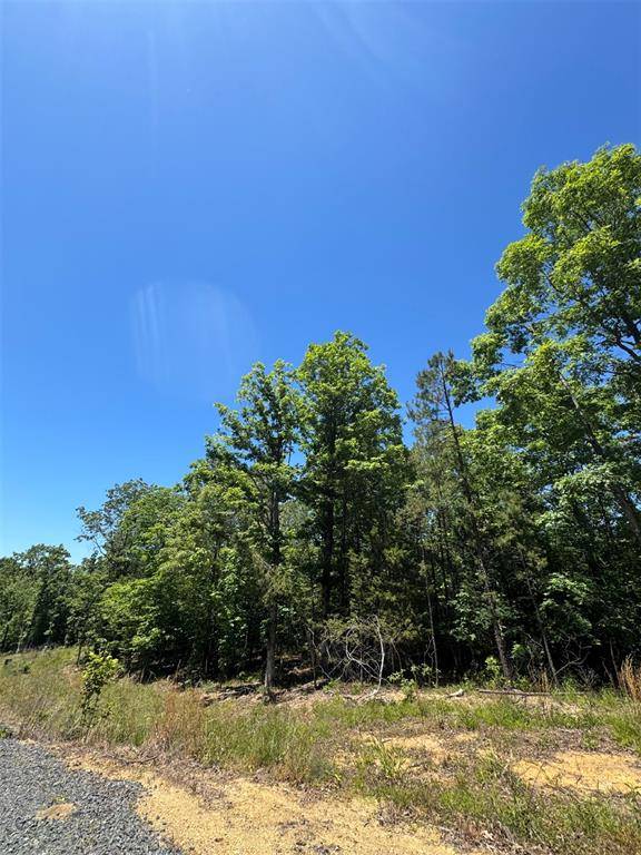 37 Mountain Bluff TRL, Watson, OK 74957