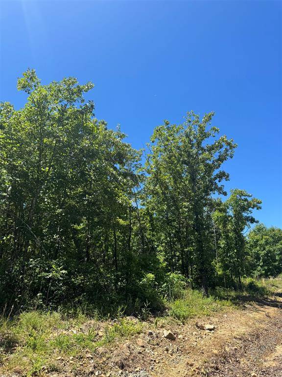 47 Hillside WAY, Watson, OK 74957
