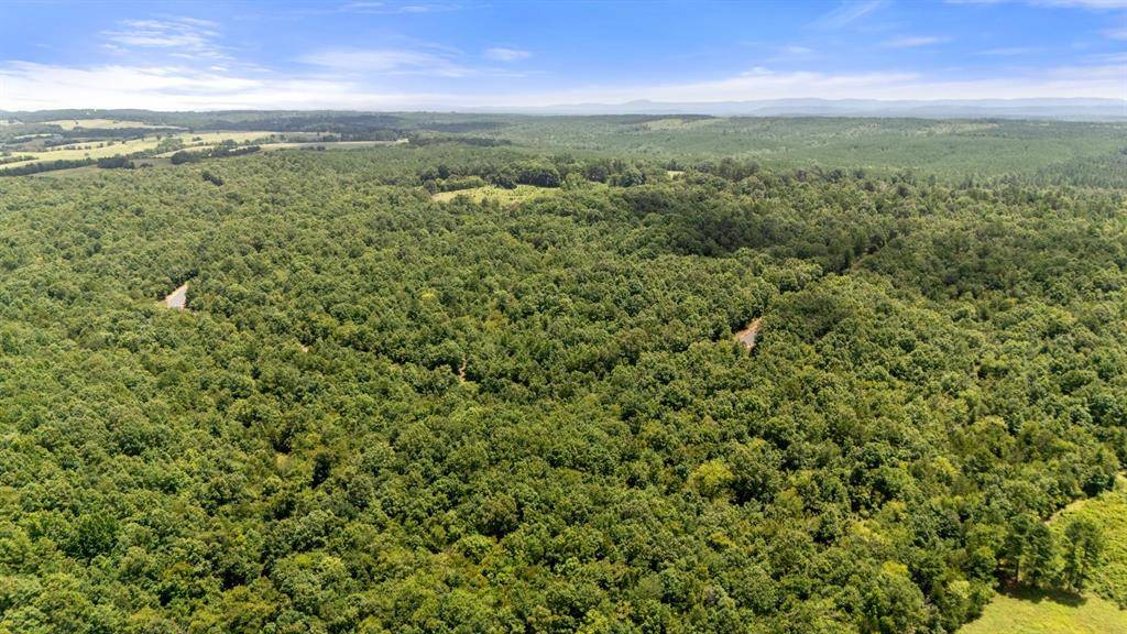 48 Hillside WAY, Watson, OK 74957