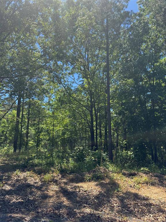 48 Hillside WAY, Watson, OK 74957