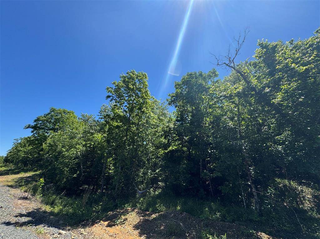 54 Vista Ridge TRL, Watson, OK 74957