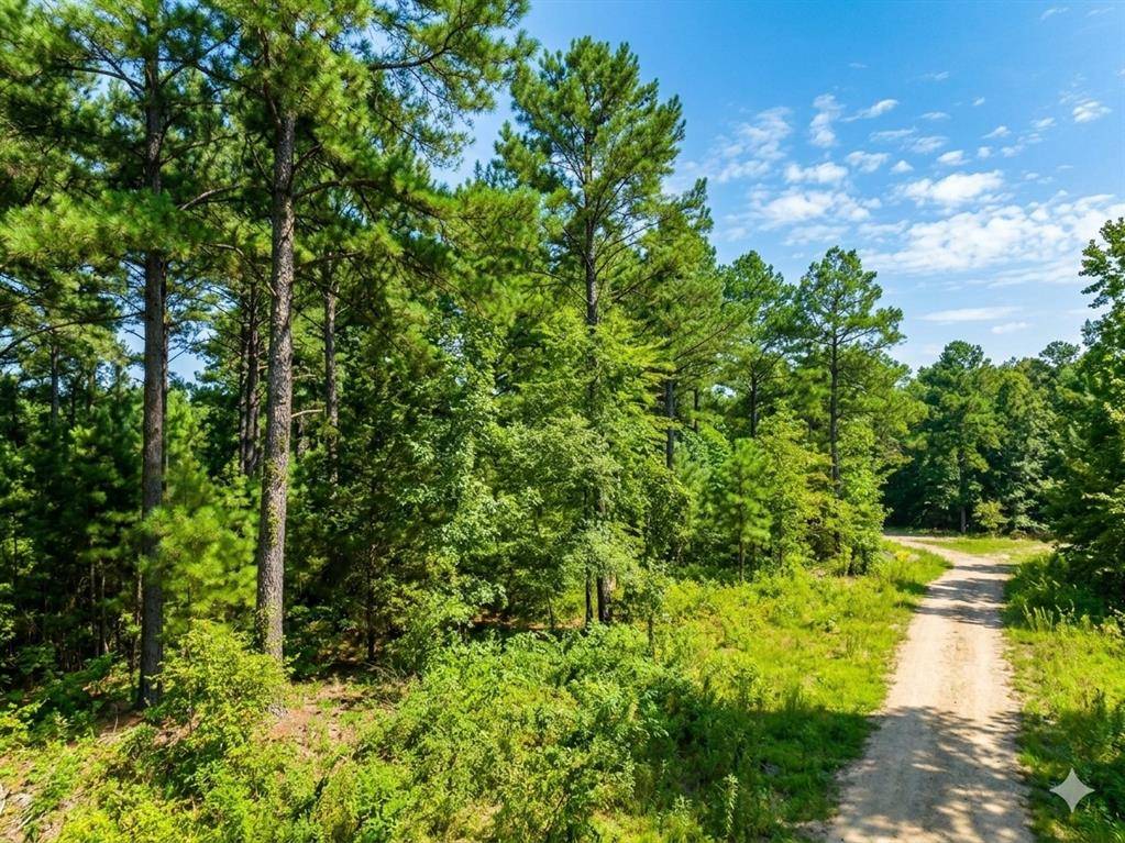 176 Xpress LN, Hochatown, OK 74728