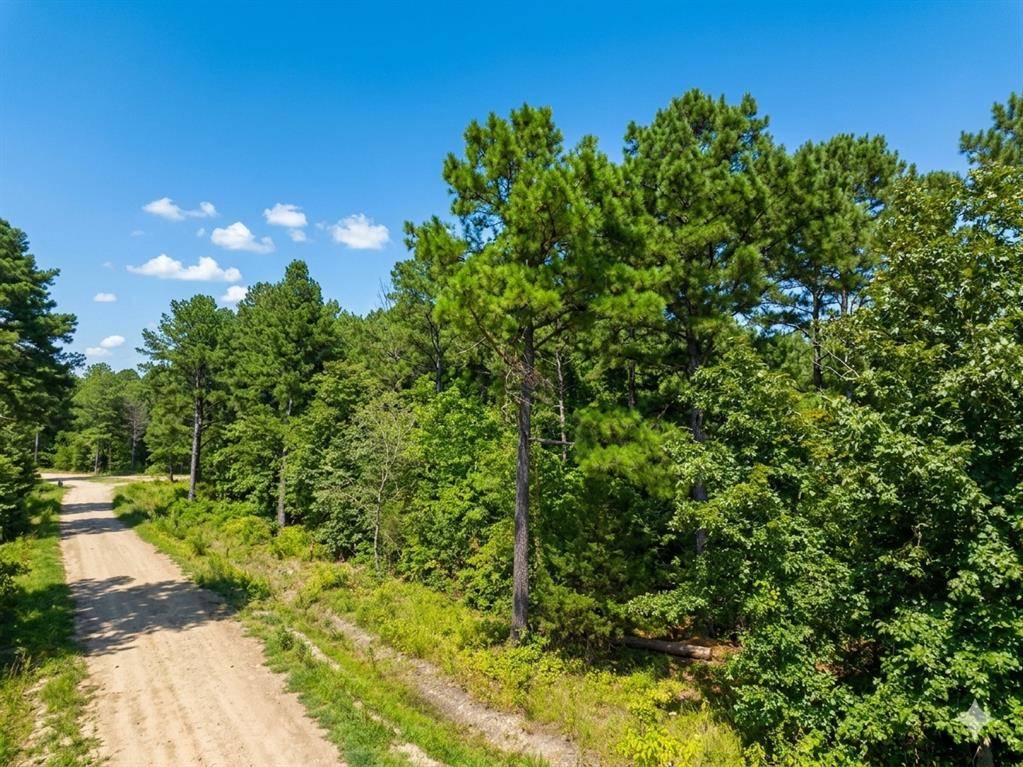 176 Xpress LN, Hochatown, OK 74728