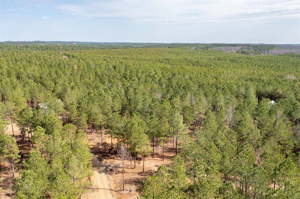 224 Cedar Hills TRL, Broken Bow, OK 74728