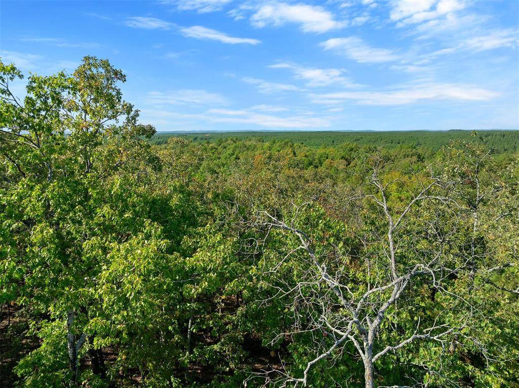 153 Conifer Crest TRL, Broken Bow, OK 74728