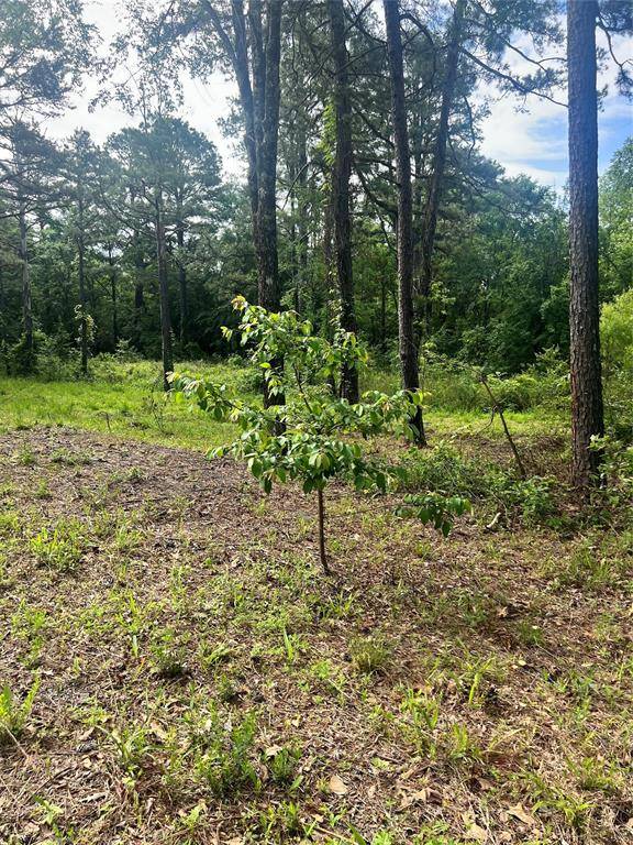 Address not disclosed, Broken Bow, OK 74728