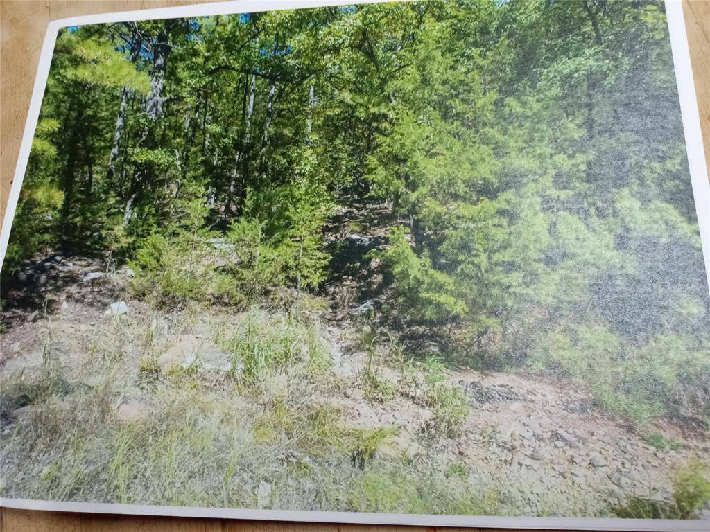 177499 Box Springs Mountain RD, Moyers, OK 74557
