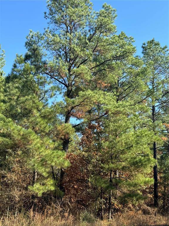 205 Bear Cedar TRL, Broken Bow, OK 74728