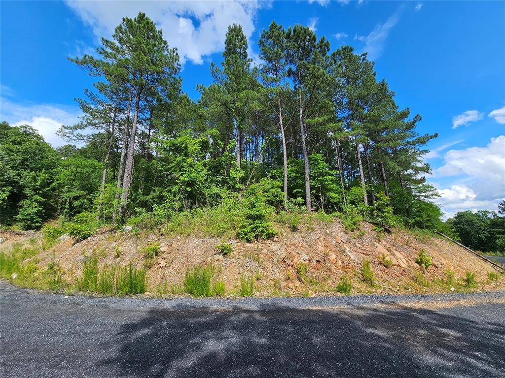 635 Virginia Pine PL, Broken Bow, OK 74728