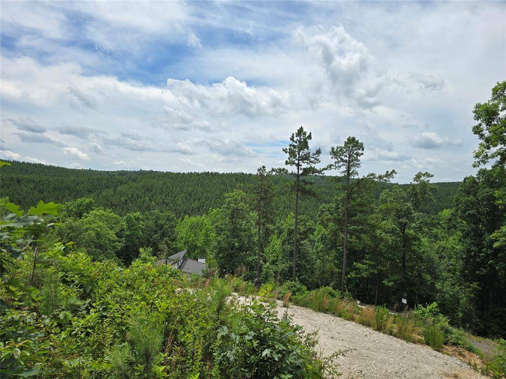 343 Virginia Pine PL, Broken Bow, OK 74728