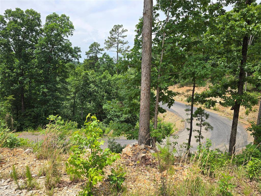 343 Virginia Pine PL, Broken Bow, OK 74728