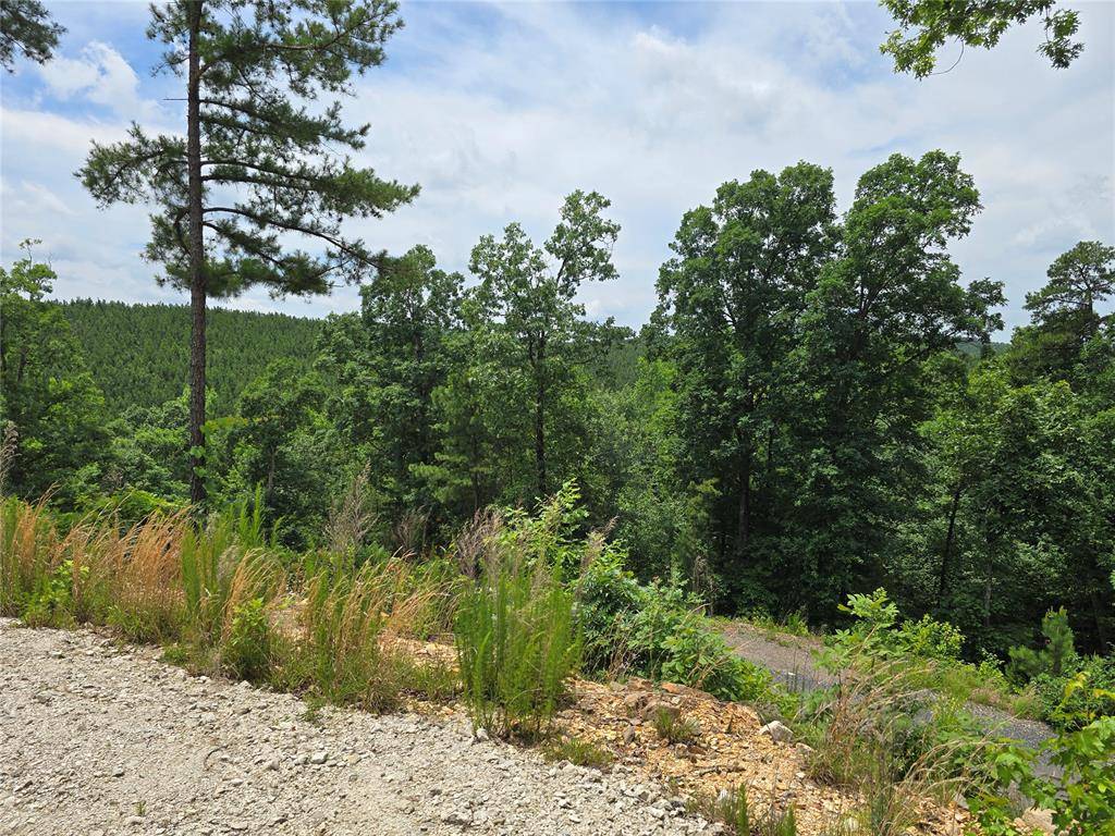 343 Virginia Pine PL, Broken Bow, OK 74728