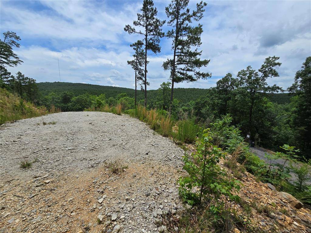 343 Virginia Pine PL, Broken Bow, OK 74728