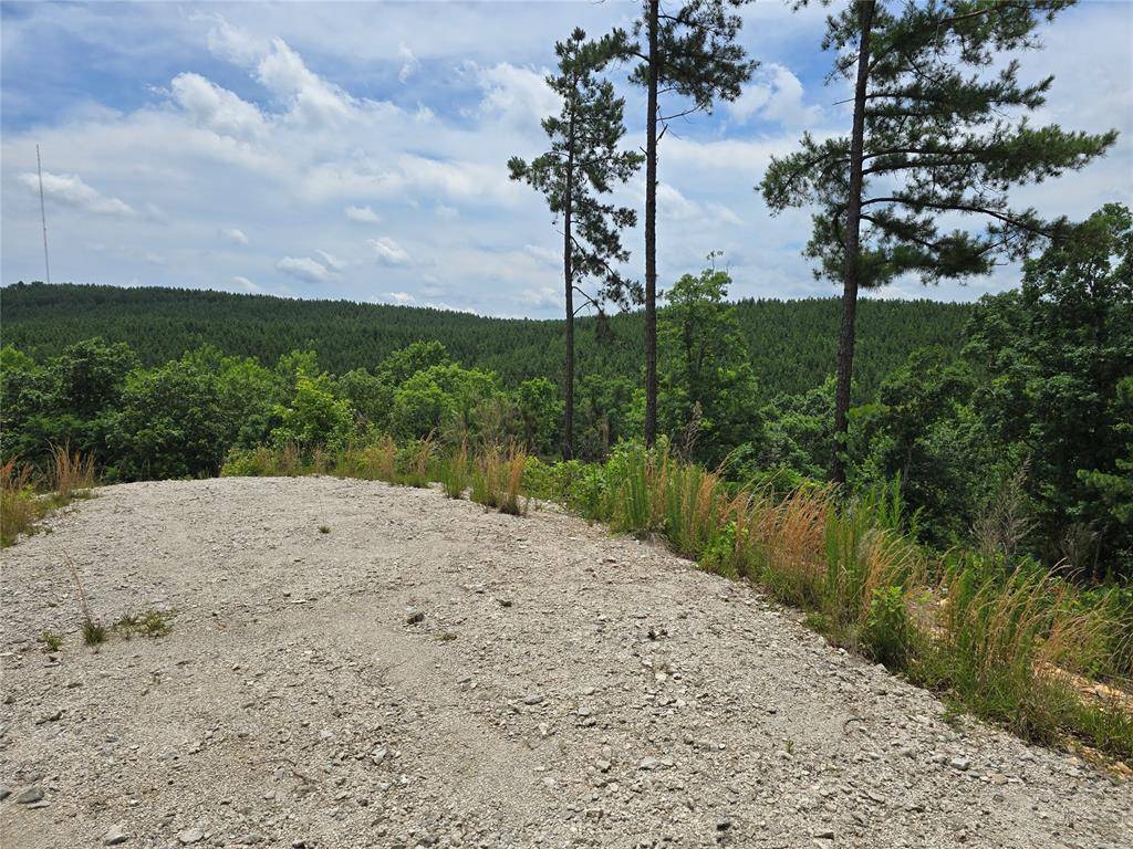 343 Virginia Pine PL, Broken Bow, OK 74728