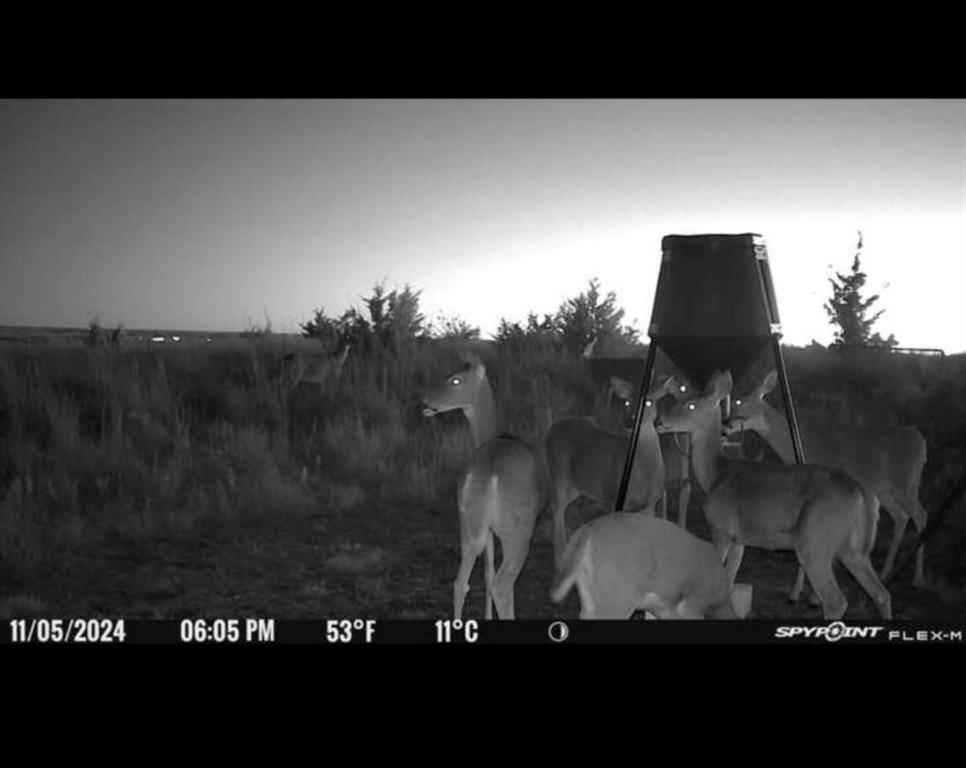 203128 E 780 RD, Leedey, OK 73654