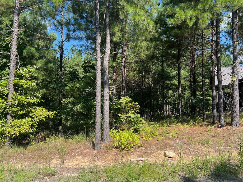 53 Weathered Timber TRL, Broken Bow, OK 74728