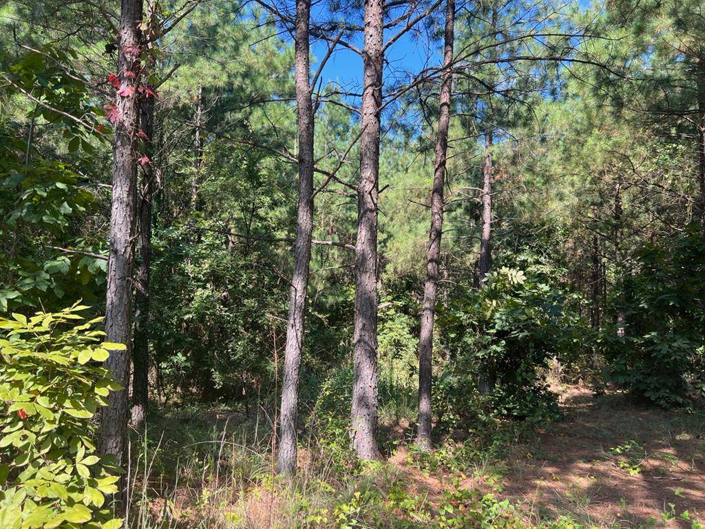 53 Weathered Timber TRL, Broken Bow, OK 74728