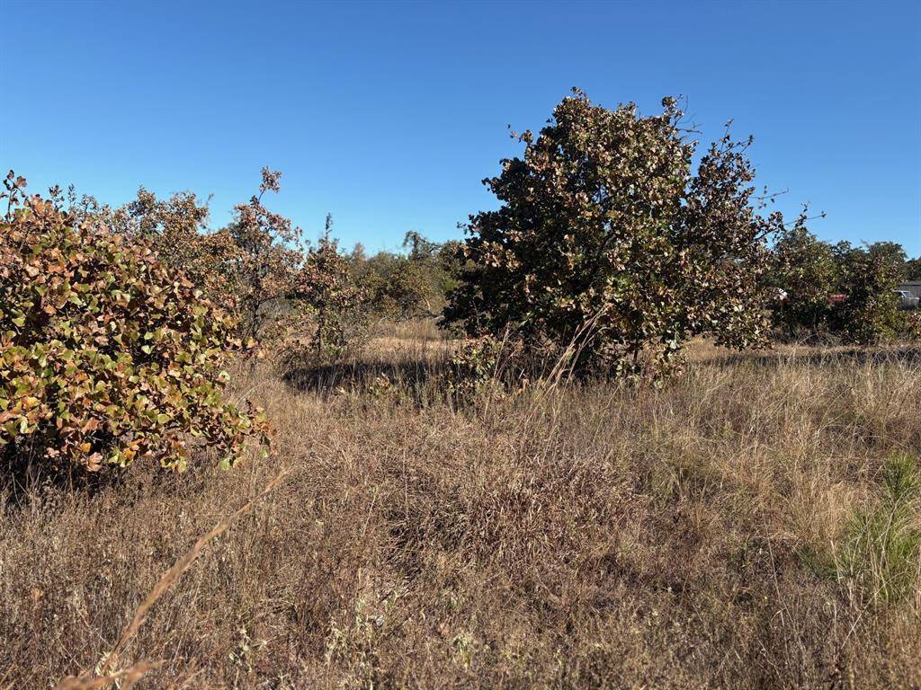 19491 Mooseville DR, Noble, OK 73068