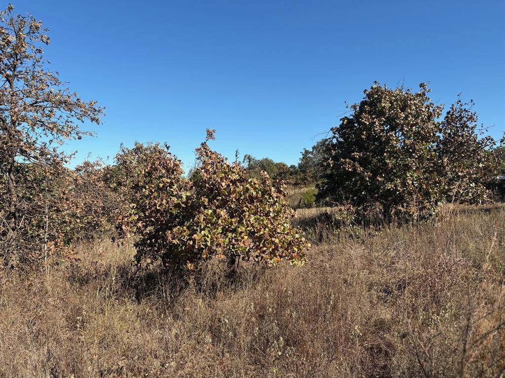 19491 Mooseville DR, Noble, OK 73068
