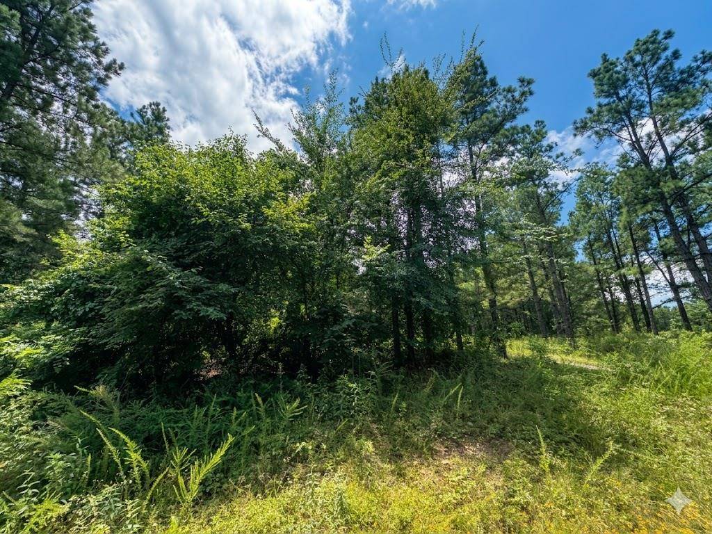 18 Boulder PATH, Hochatown, OK 74728