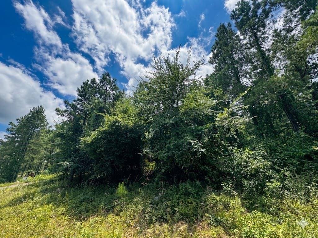 18 Boulder PATH, Hochatown, OK 74728
