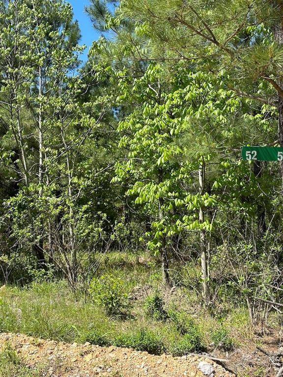 135 Crooked Stick TRL, Broken Bow, OK 74728
