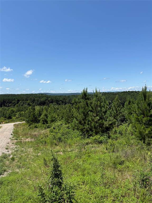 94 Rose Hill TRL, Broken Bow, OK 74728