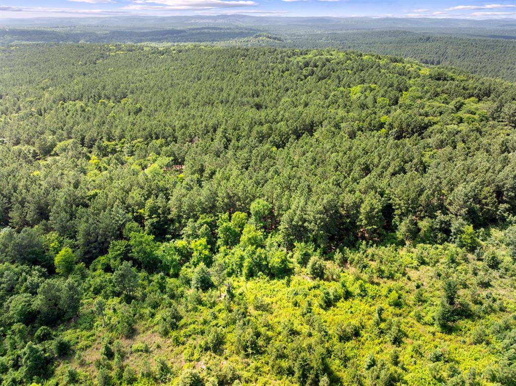 608 Woodsman TRL, Broken Bow, OK 74728