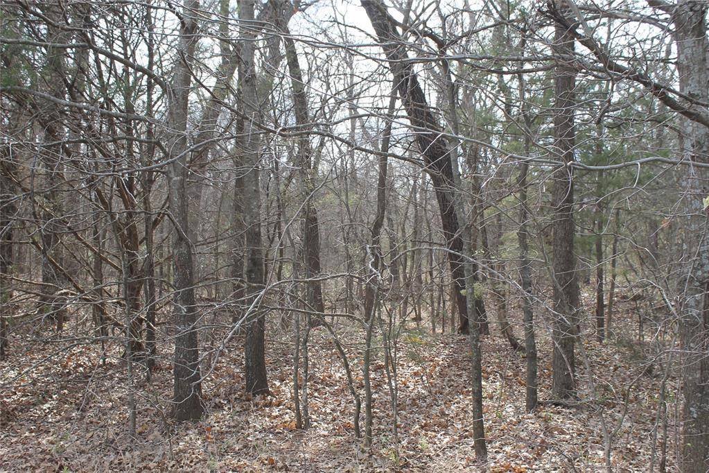Whispering Oaks RD, Tecumseh, OK 74873