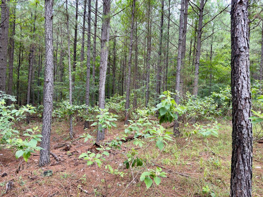 40 Hochacedar TRL, Broken Bow, OK 74728