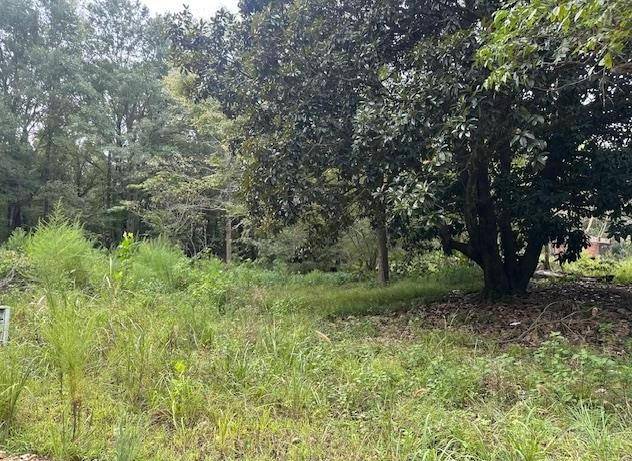 274 Galena Ridge RD, Haworth, OK 74740