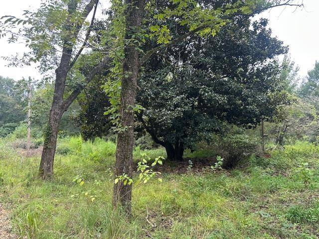 274 Galena Ridge RD, Haworth, OK 74740