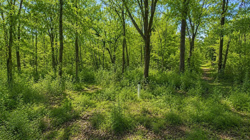 1425 Firefly LN, Ardmore, OK 73401