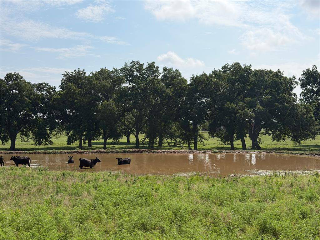 00 EW 1170 RD, Earlsboro, OK 74840