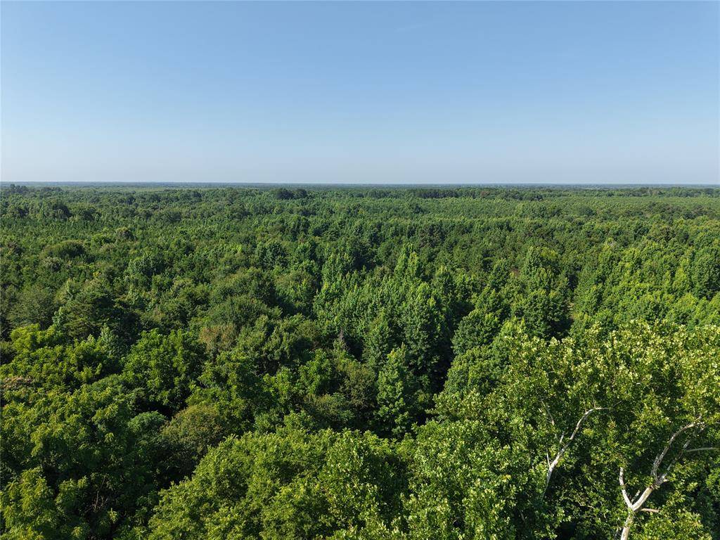 37 TBD Butler Road RD, Haworth, OK 74740