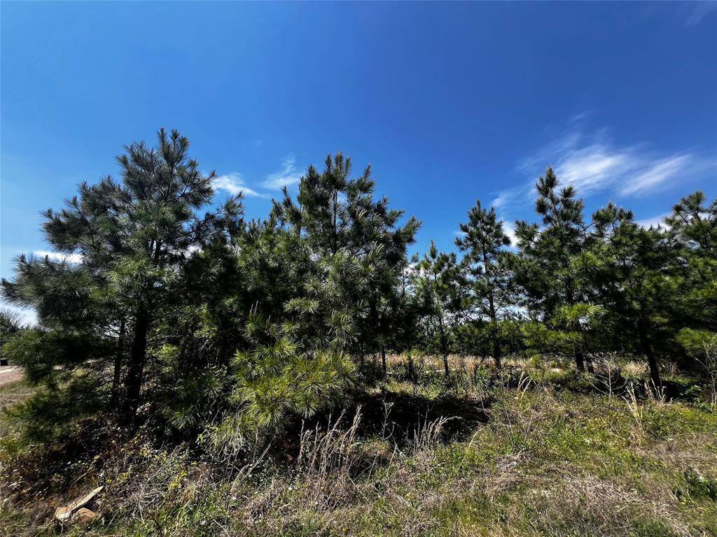 62 BR Johnson RD, Broken Bow, OK 74728