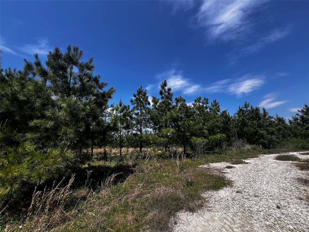 62 BR Johnson RD, Broken Bow, OK 74728